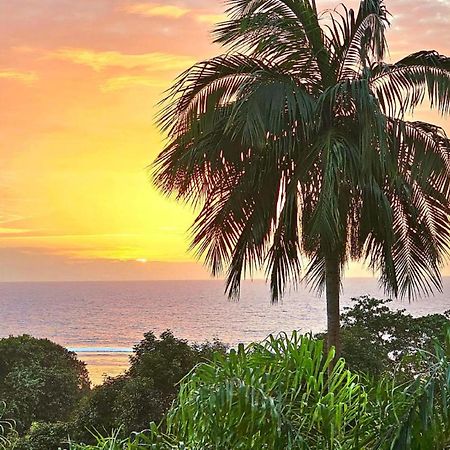 Au Lever Du Soleil Guest House Sea View Au Cap Εξωτερικό φωτογραφία